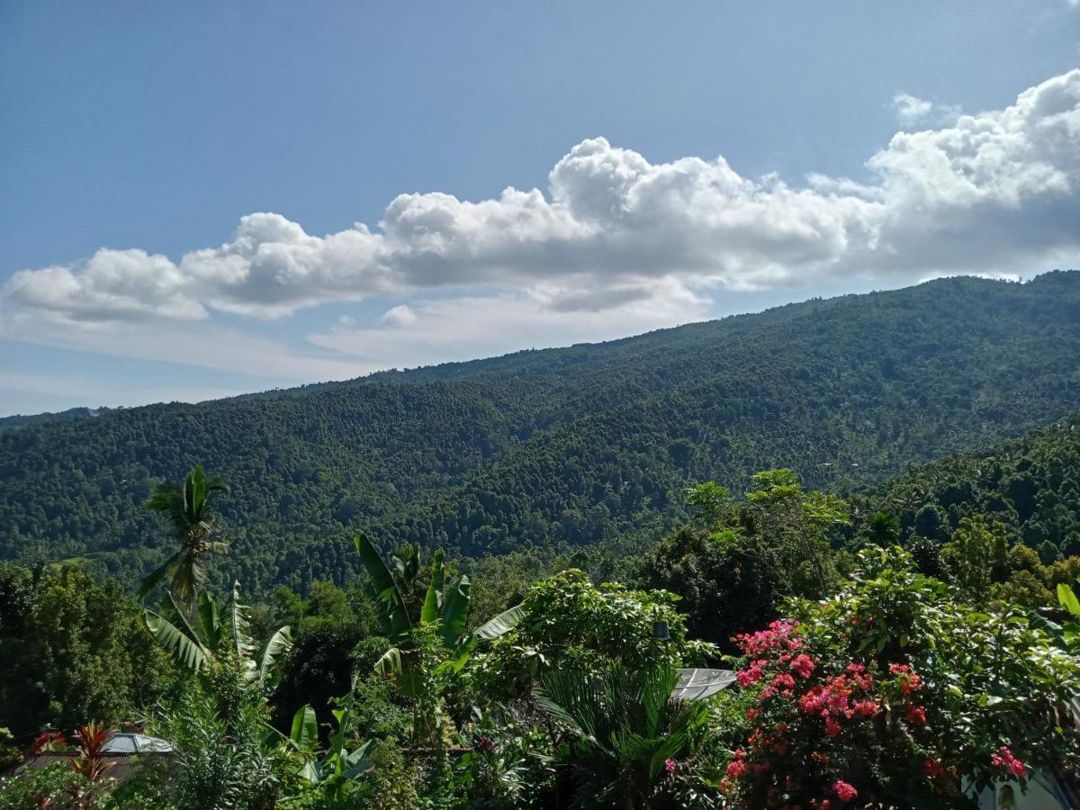 Aris Homestay&Warung Made Munduk  Luaran gambar